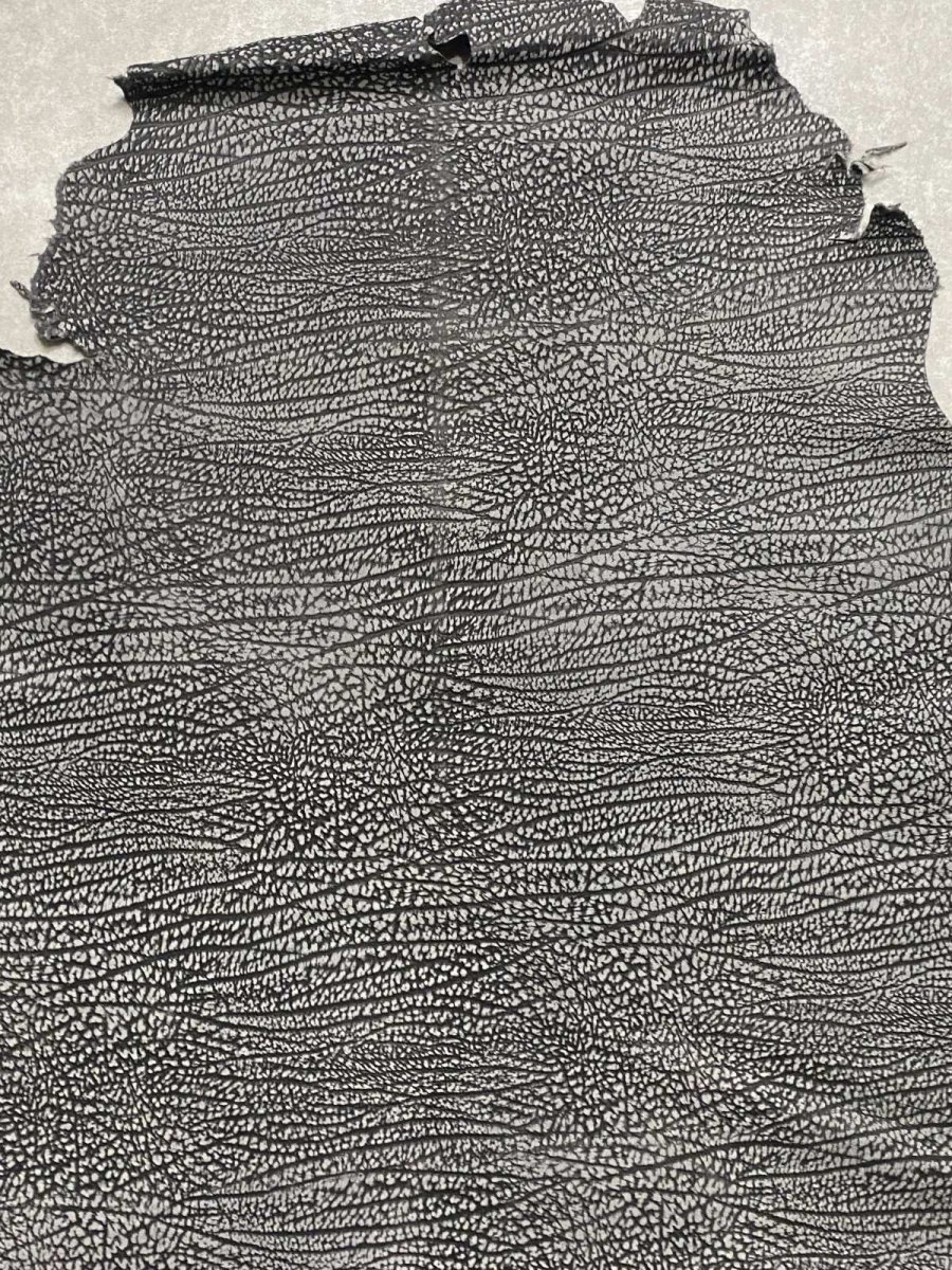 画像4: アンテロープ　 (4)