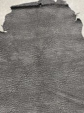 画像4: アンテロープ　 (4)