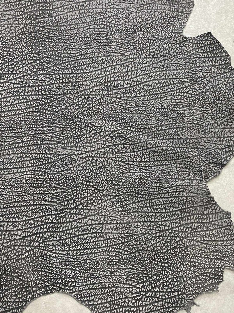 画像7: アンテロープ　 (7)