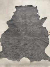 画像1: アンテロープ　 (1)