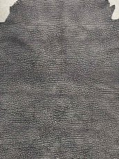 画像3: アンテロープ　 (3)