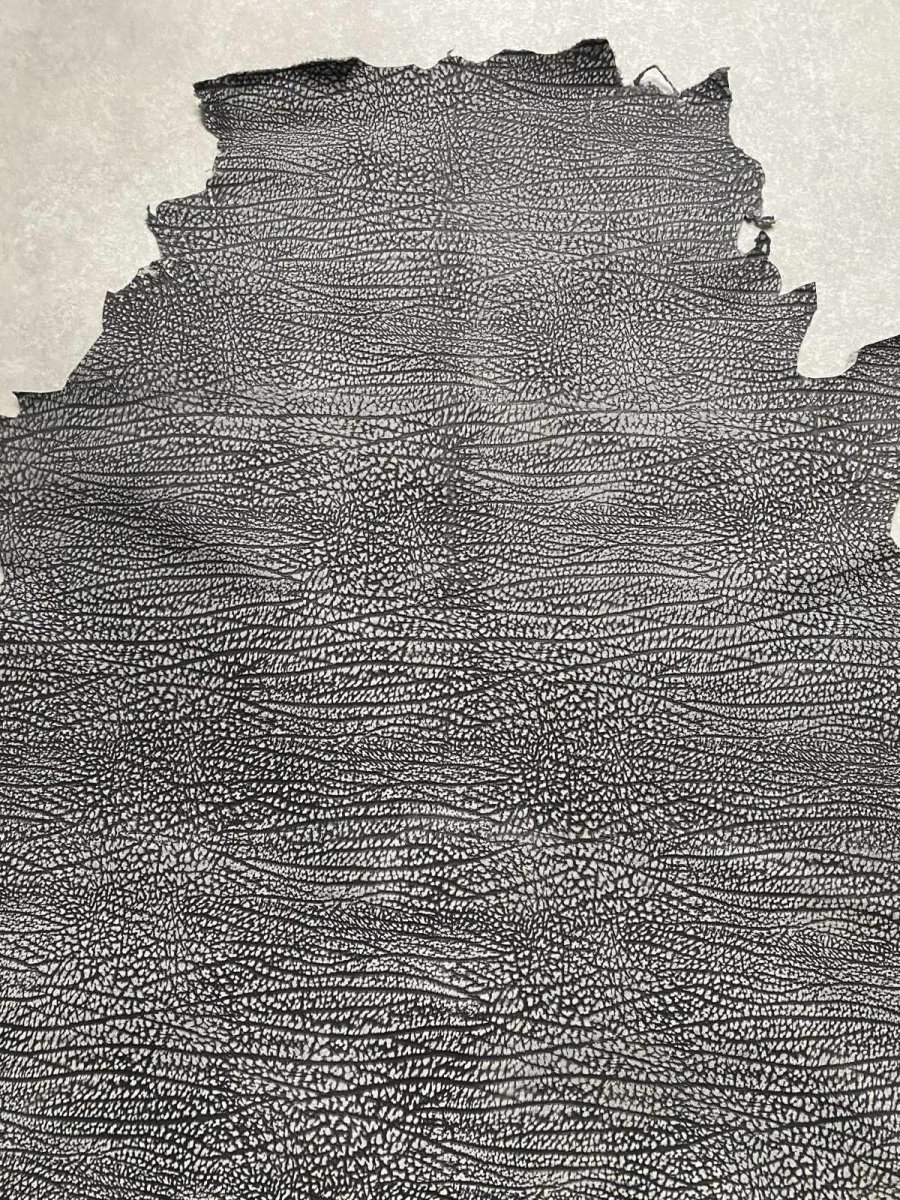 画像4: アンテロープ　 (4)