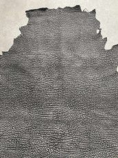 画像4: アンテロープ　 (4)