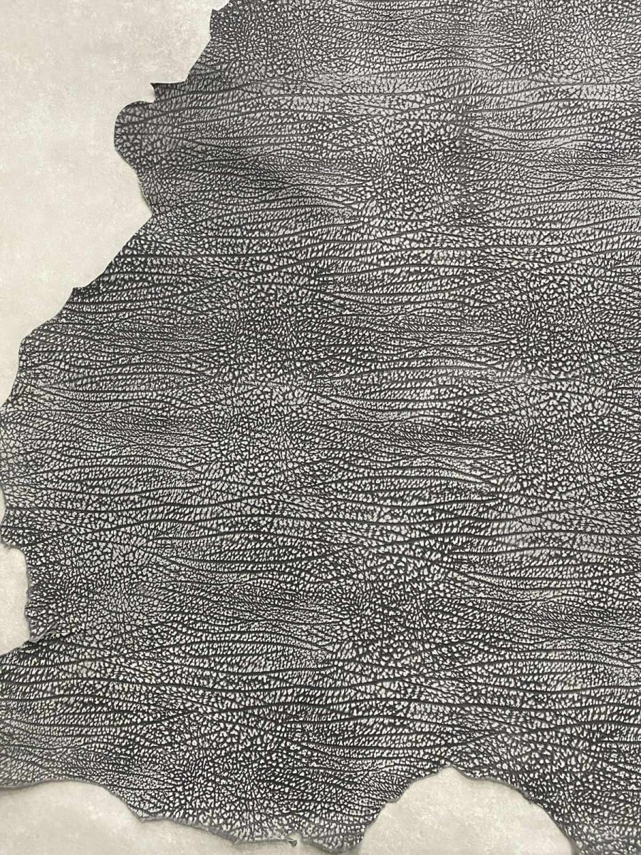 画像5: アンテロープ　 (5)