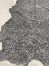画像5: アンテロープ　 (5)