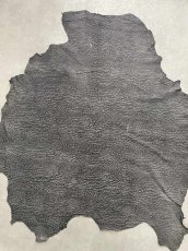 画像1: アンテロープ　 (1)