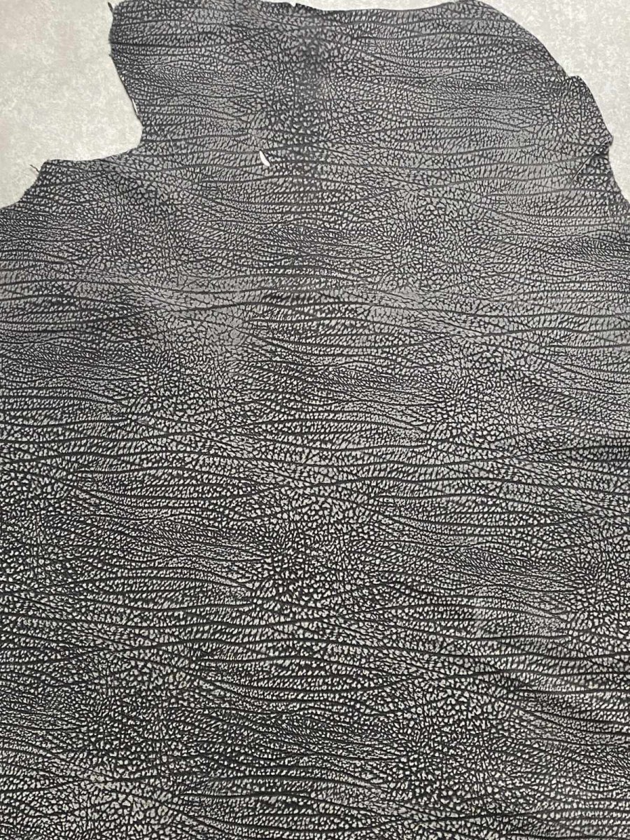 画像3: アンテロープ　 (3)