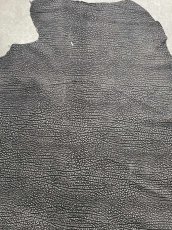 画像3: アンテロープ　 (3)