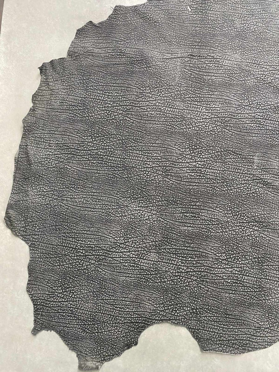 画像4: アンテロープ　 (4)