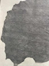 画像4: アンテロープ　 (4)