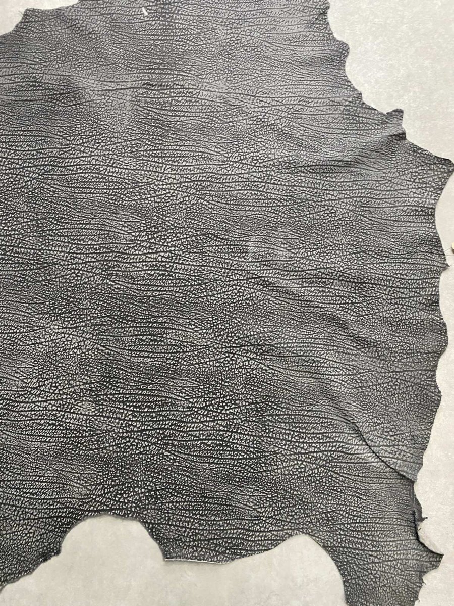 画像5: アンテロープ　 (5)