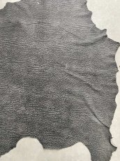 画像5: アンテロープ　 (5)