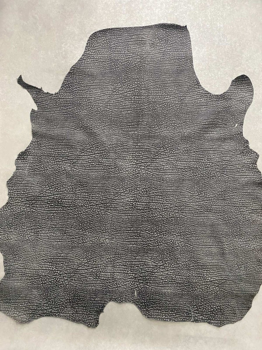 画像1: アンテロープ　 (1)