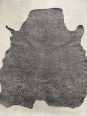 画像1: アンテロープ　 (1)