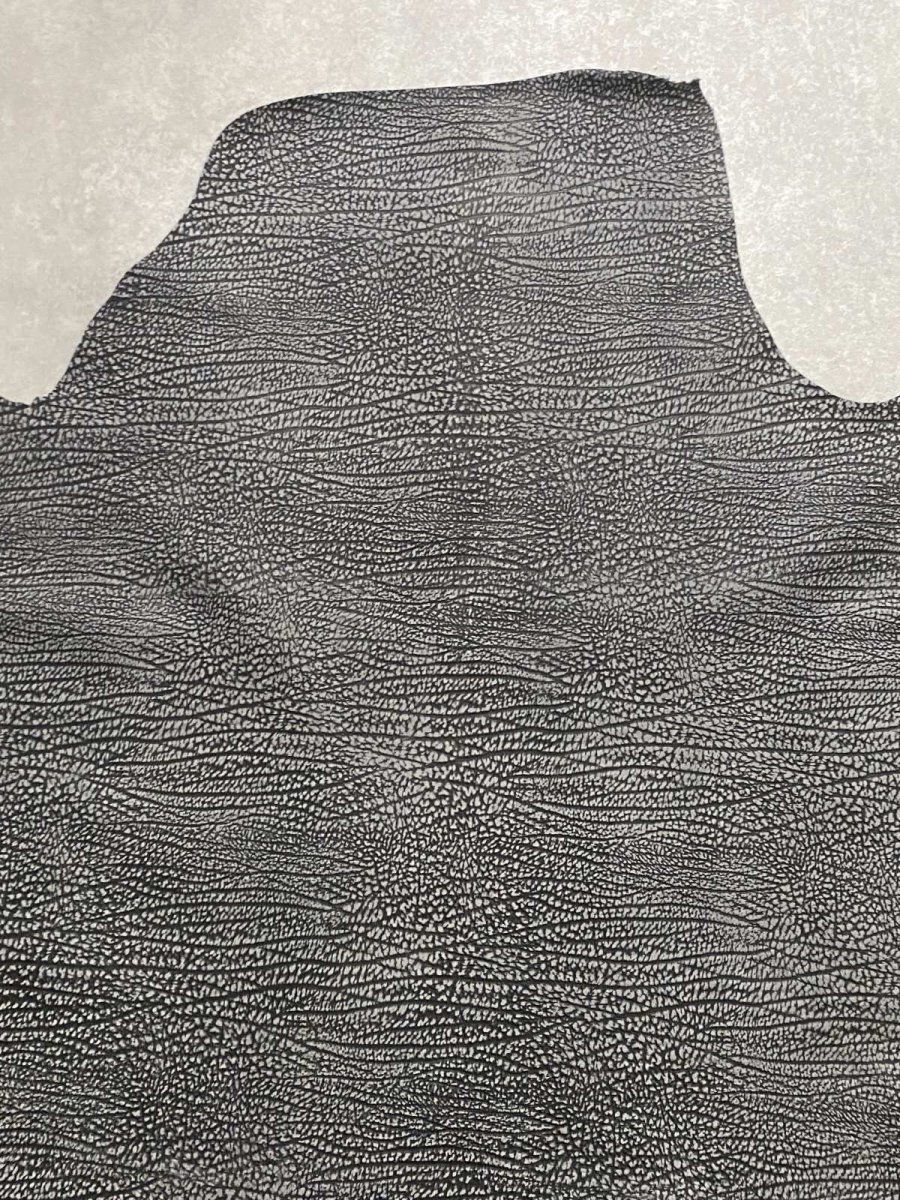 画像5: アンテロープ　 (5)