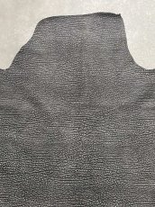 画像5: アンテロープ　 (5)