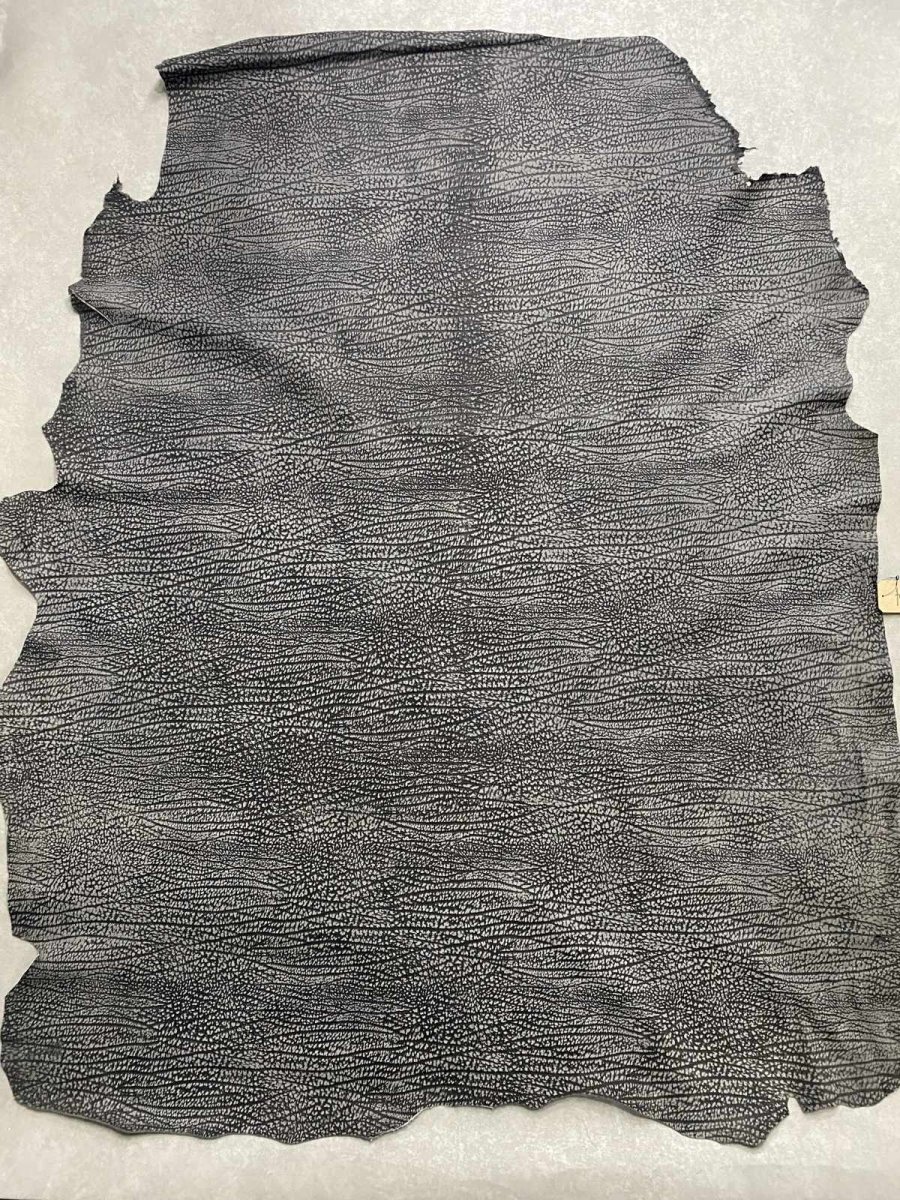 画像1: アンテロープ　 (1)