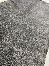 画像2: アンテロープ　 (2)