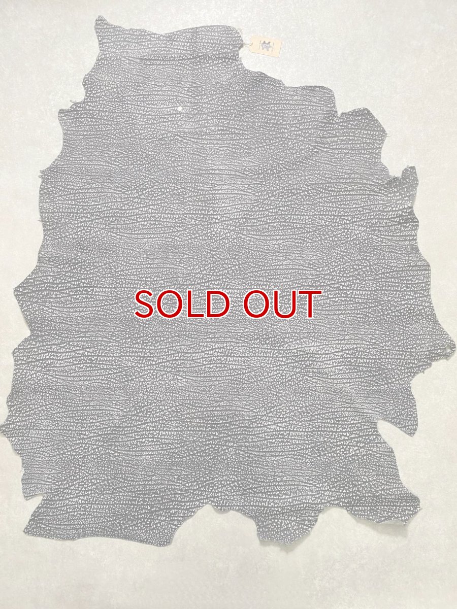 画像1: アンテロープ　 (1)