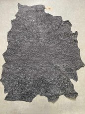 画像1: アンテロープ　 (1)
