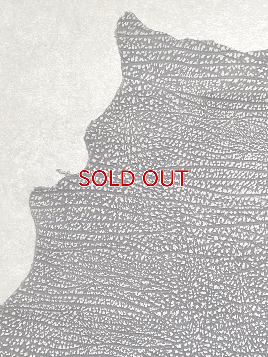 画像2: アンテロープ　 (2)