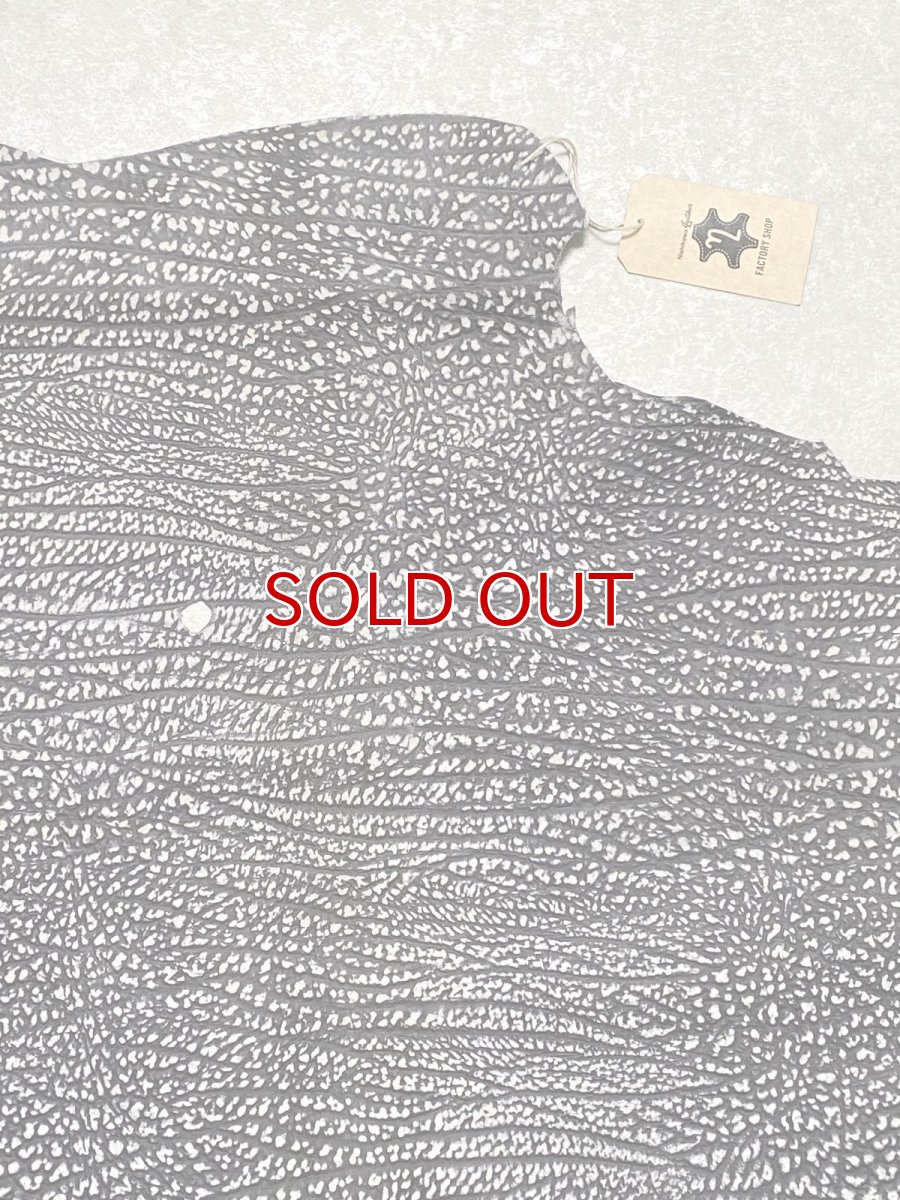 画像3: アンテロープ　 (3)