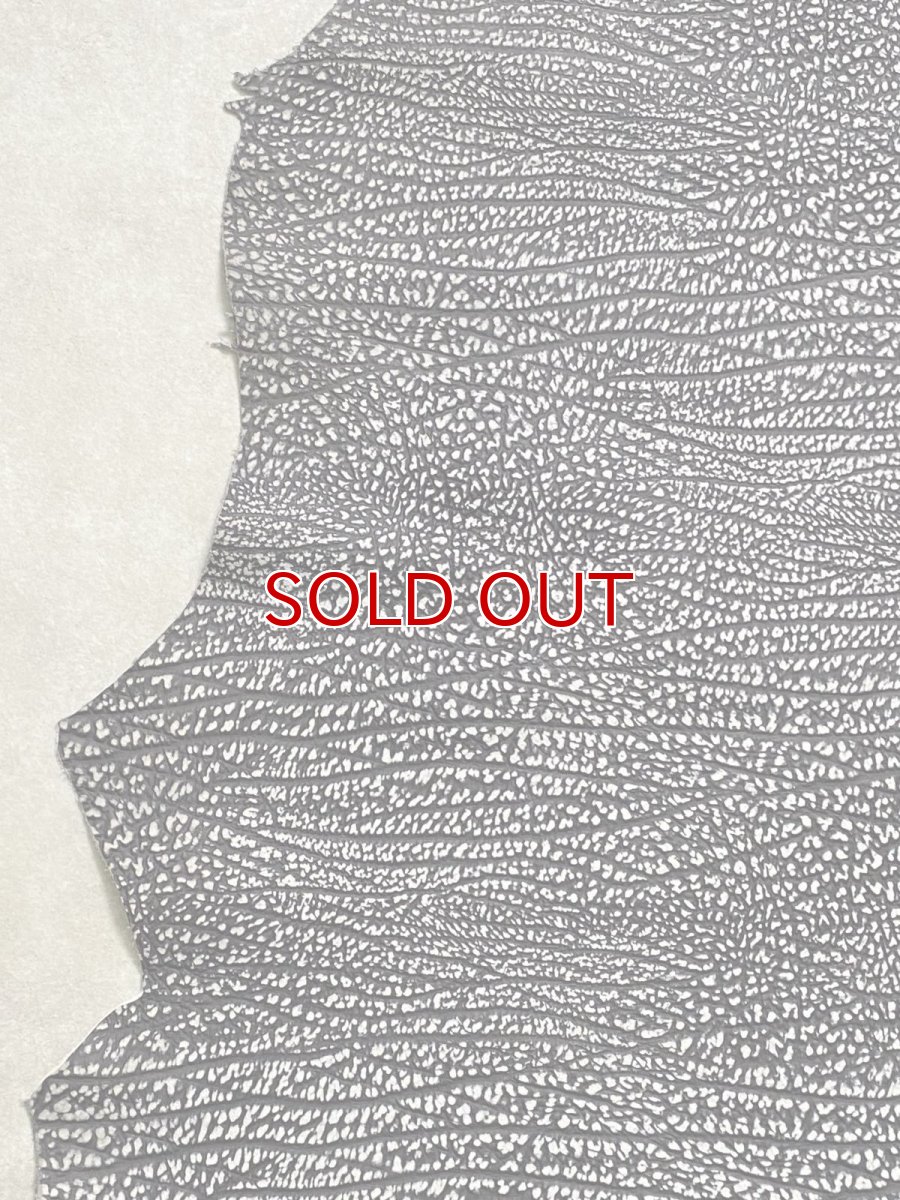 画像4: アンテロープ　 (4)