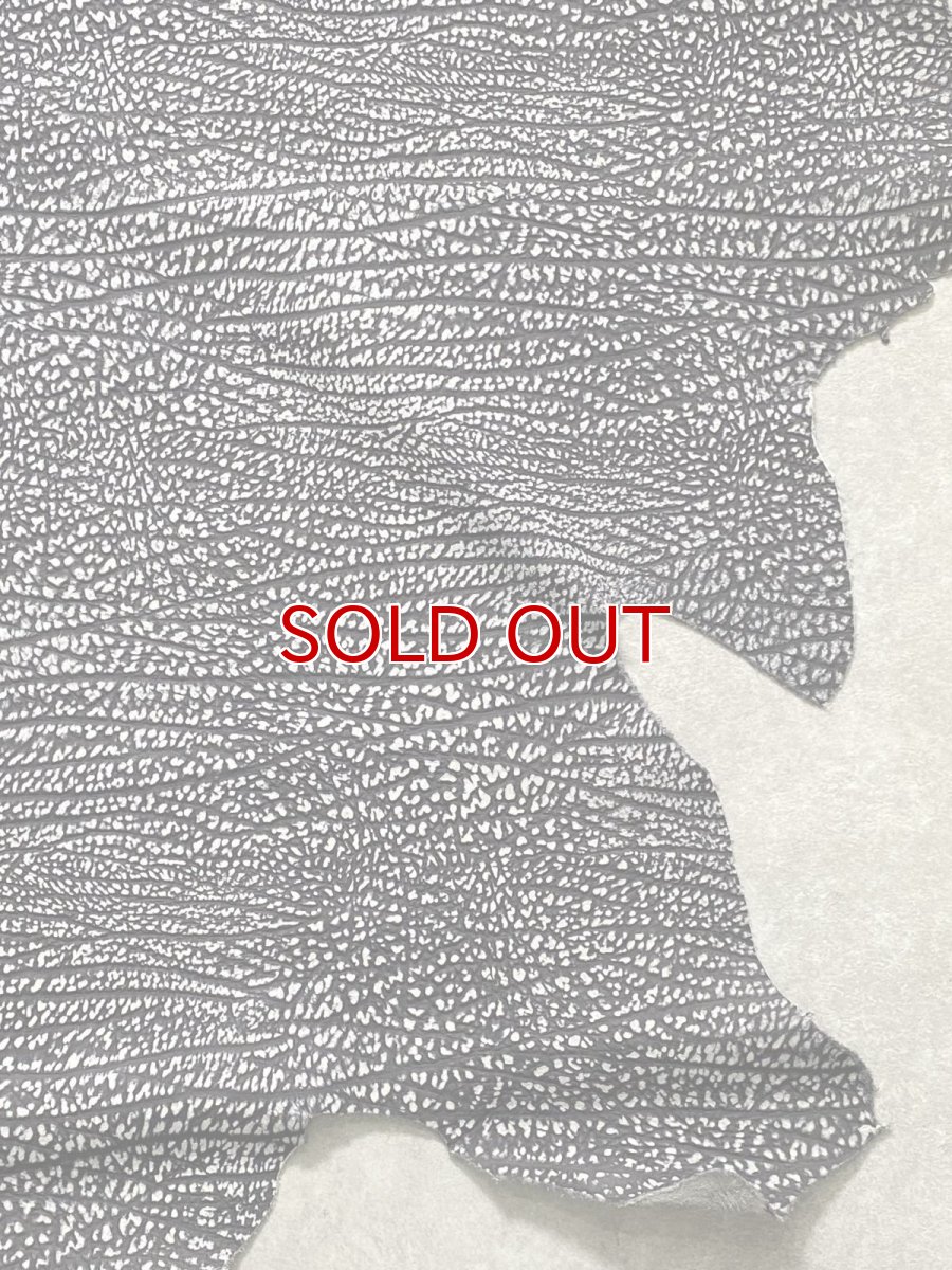 画像9: アンテロープ　 (9)