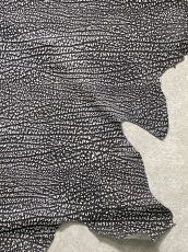 画像9: アンテロープ　 (9)