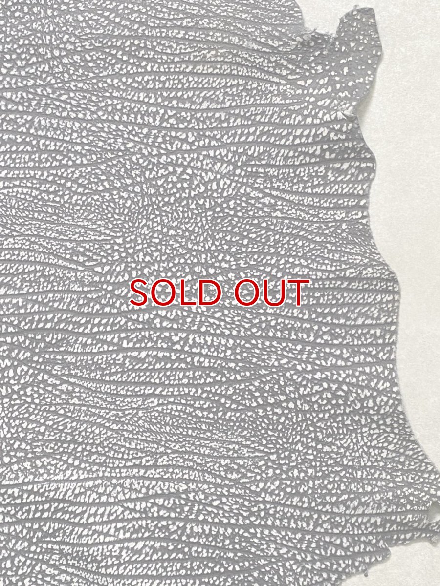 画像6: アンテロープ　 (6)