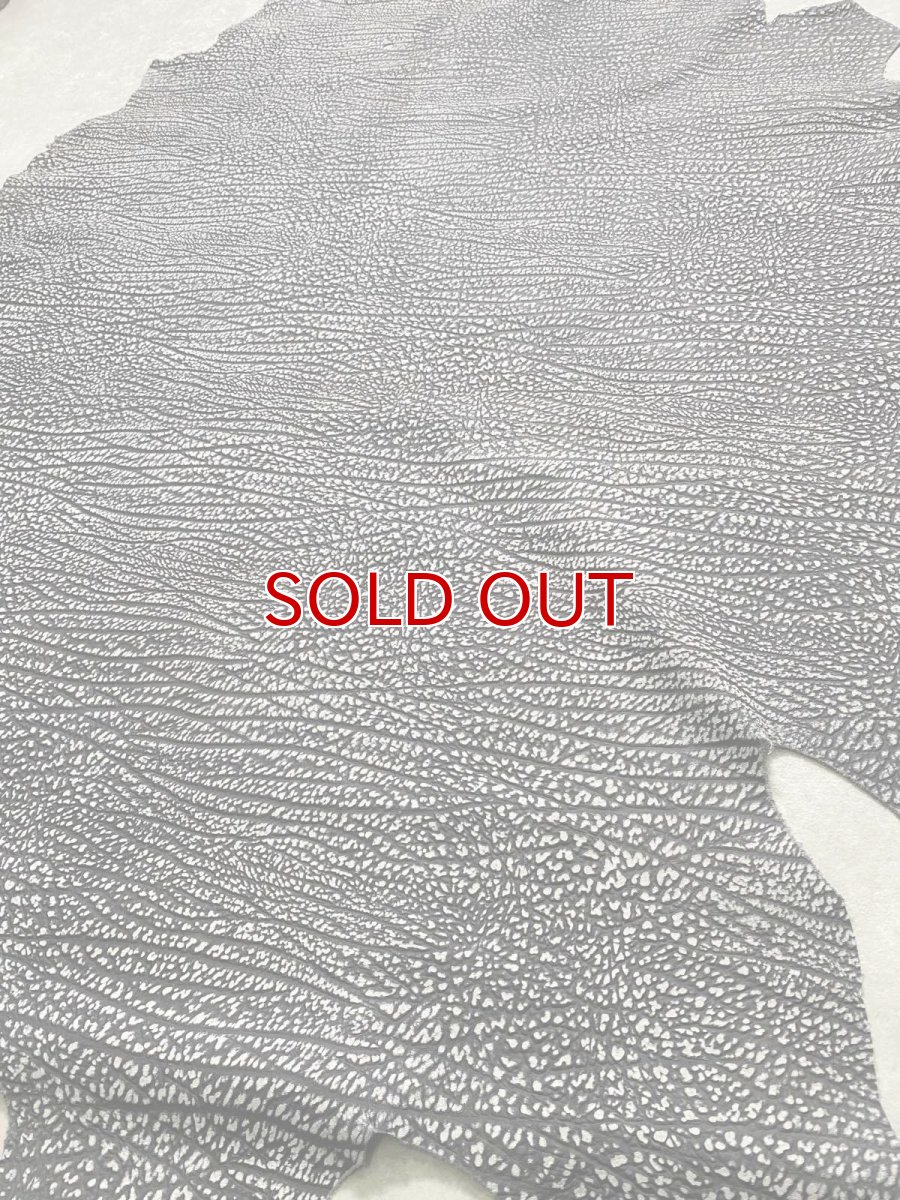 画像11: アンテロープ　 (11)