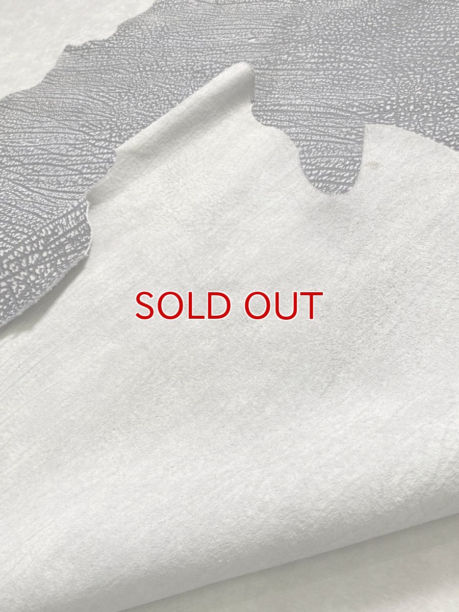 画像12: アンテロープ　 (12)