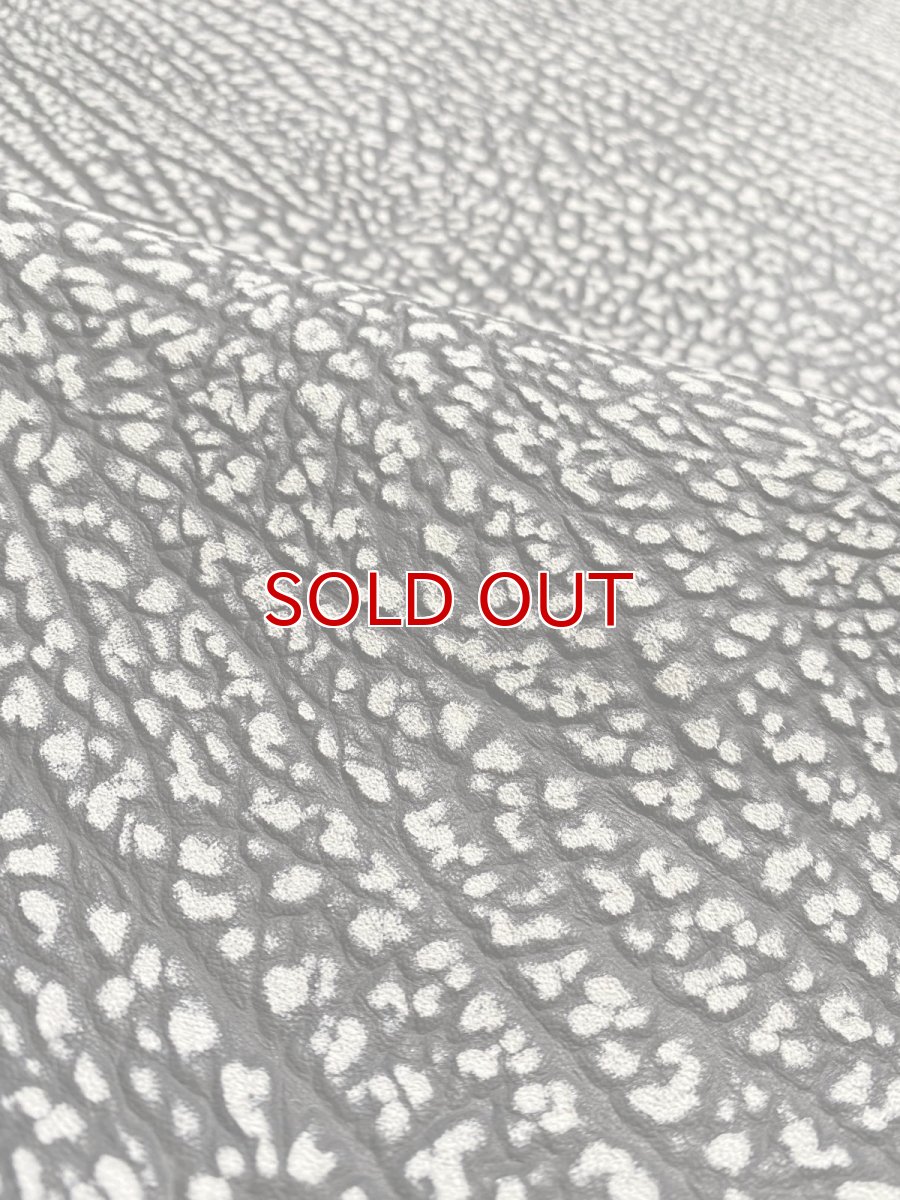 画像10: アンテロープ　 (10)