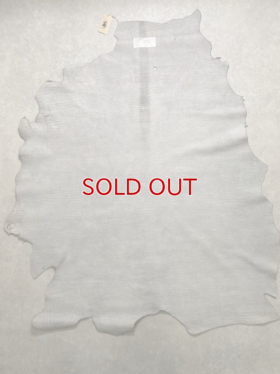 画像13: アンテロープ　 (13)