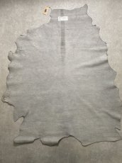 画像13: アンテロープ　 (13)