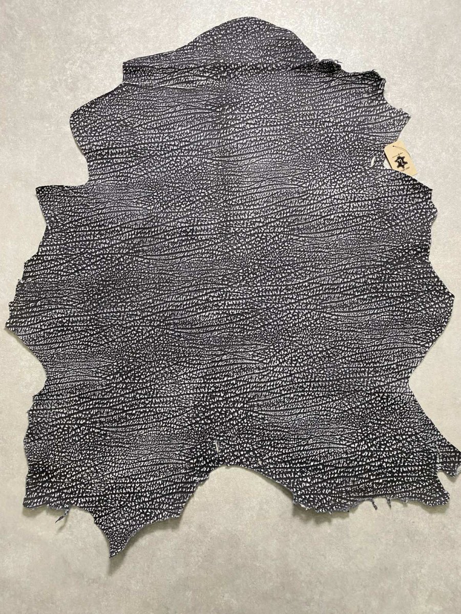 画像1: アンテロープ　 (1)