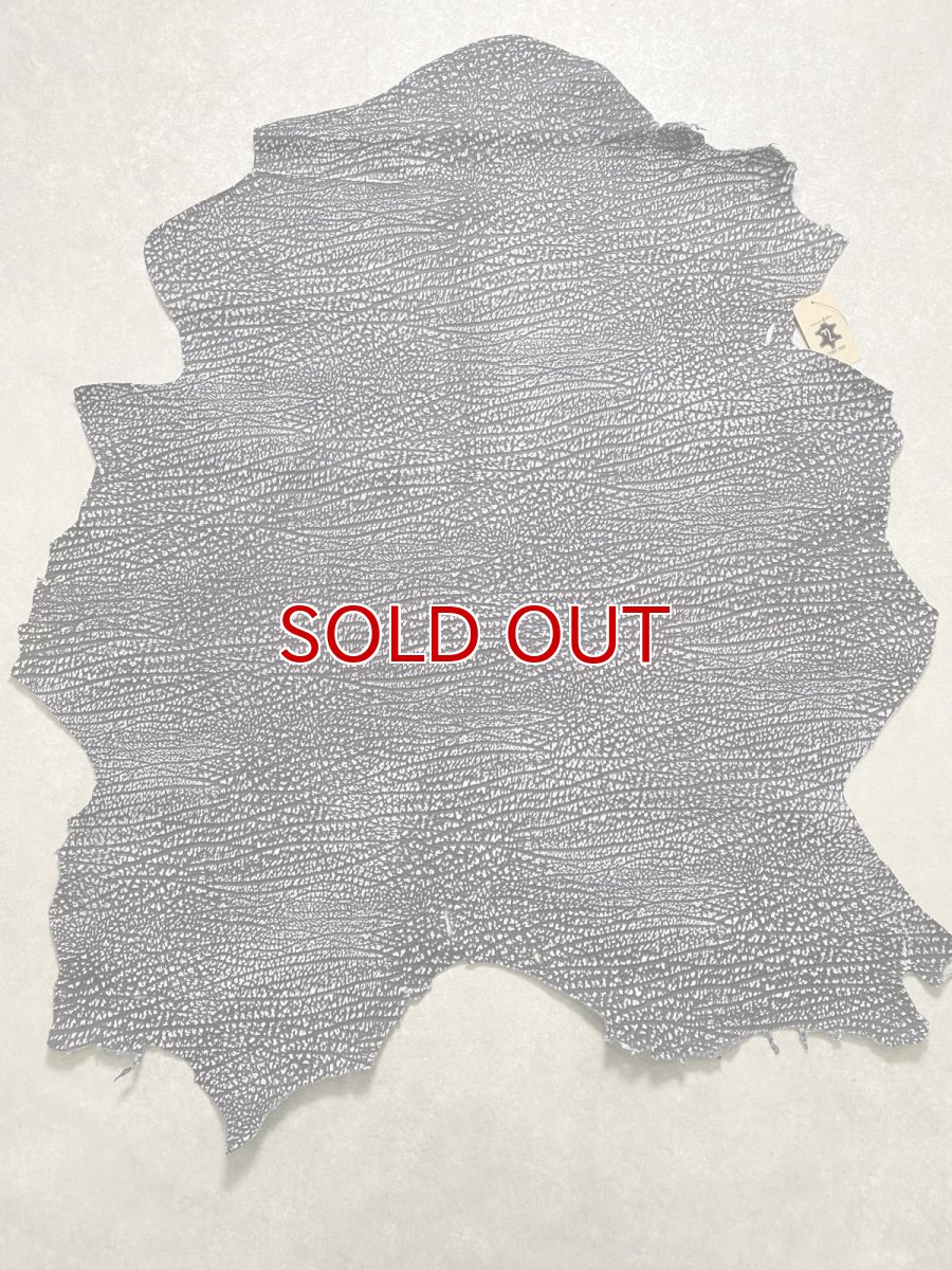 画像1: アンテロープ　 (1)