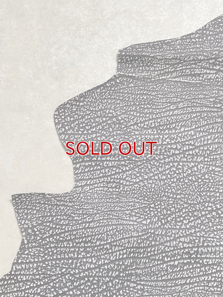 画像2: アンテロープ　 (2)