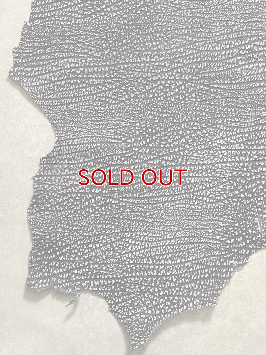 画像4: アンテロープ　 (4)