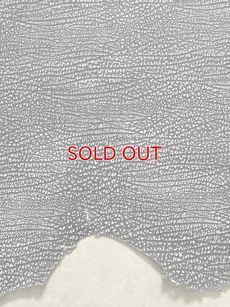 画像5: アンテロープ　 (5)