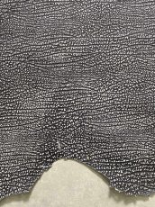 画像5: アンテロープ　 (5)