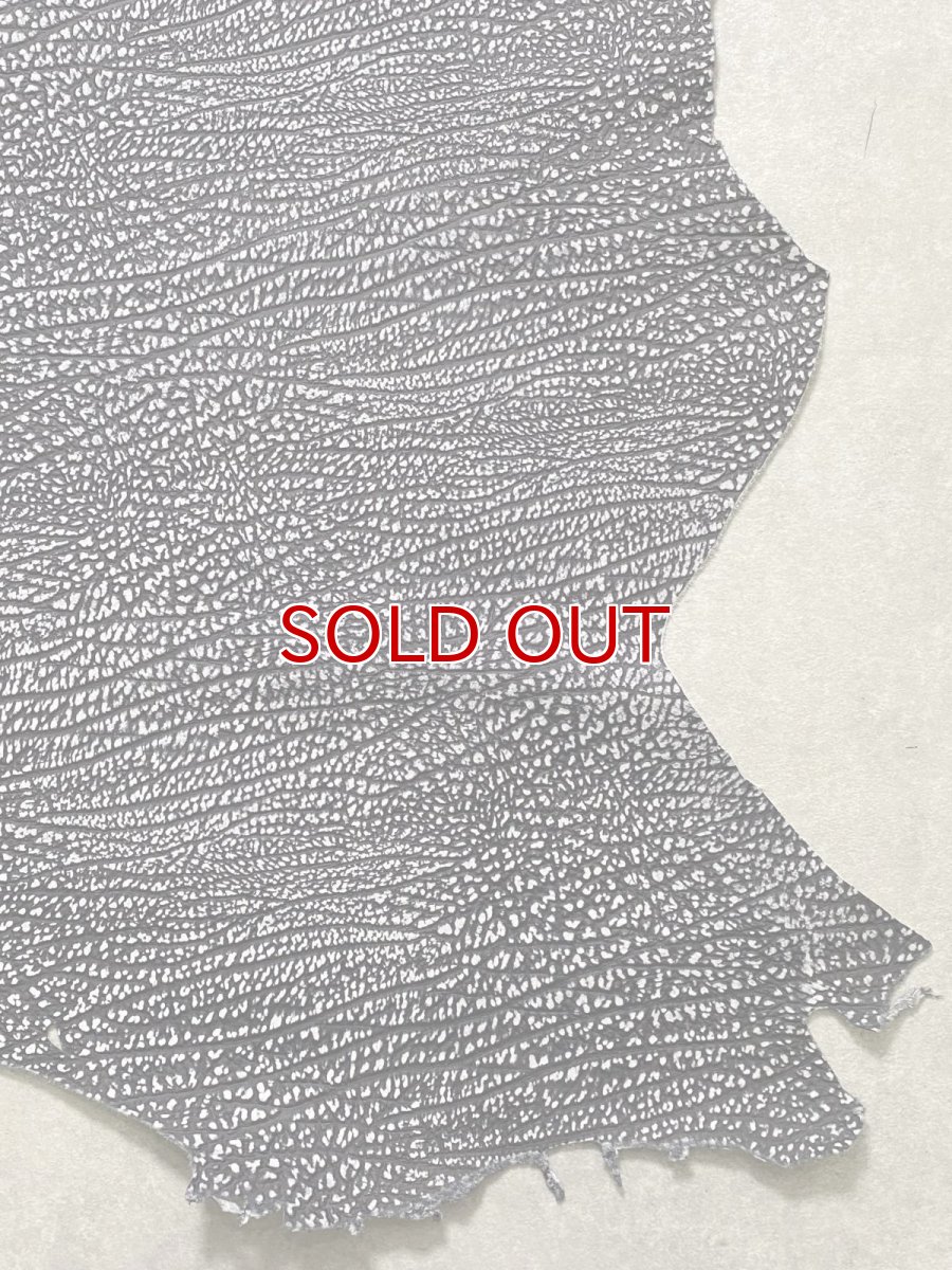 画像6: アンテロープ　 (6)