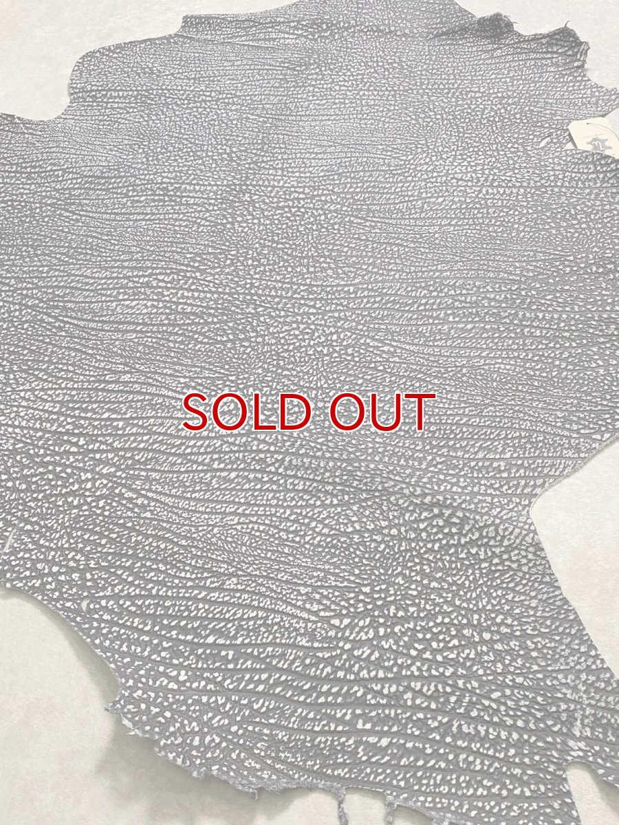 画像7: アンテロープ　 (7)