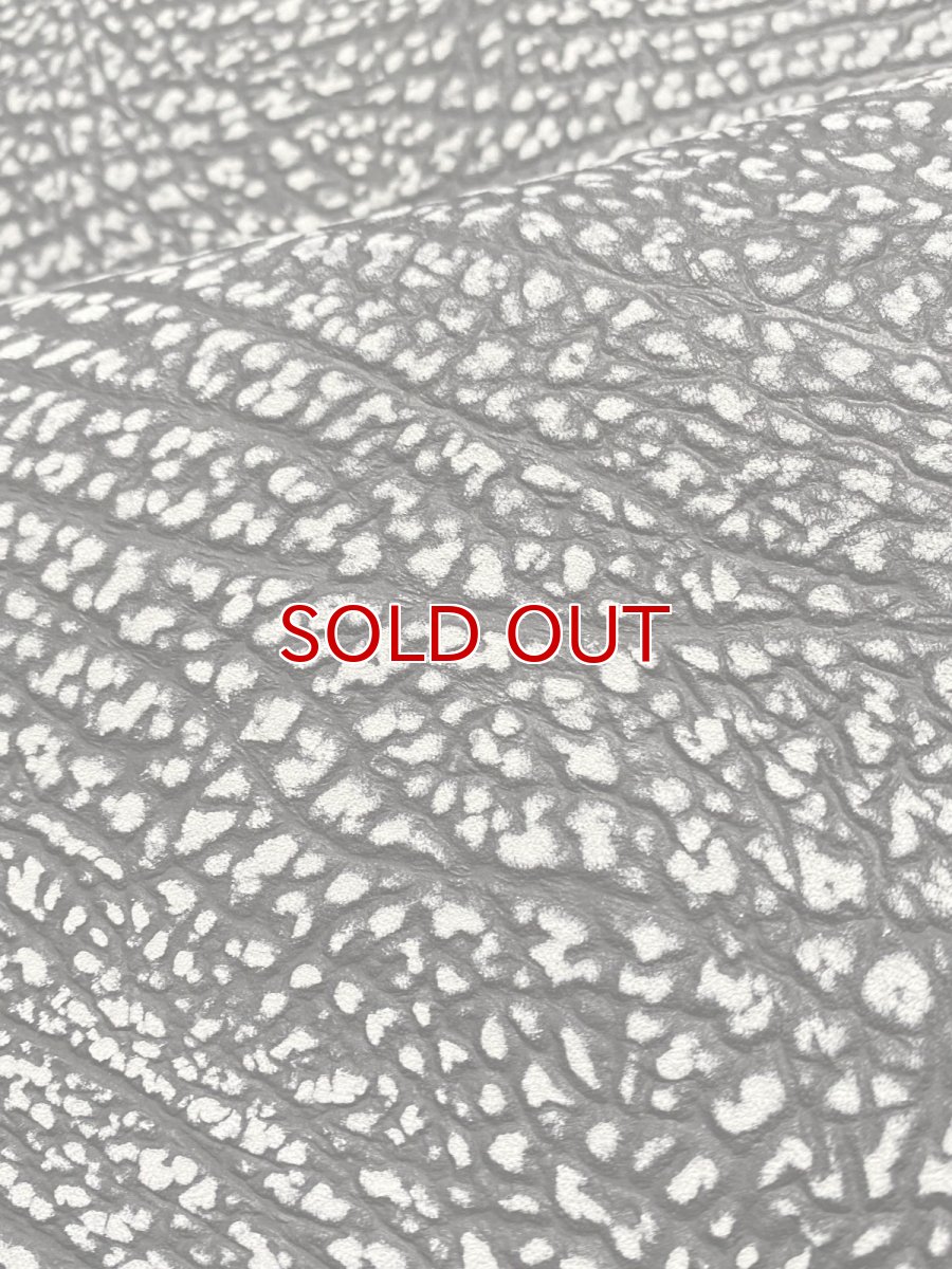 画像8: アンテロープ　 (8)