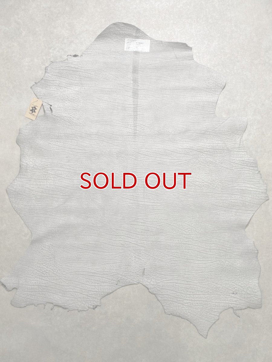 画像10: アンテロープ　 (10)