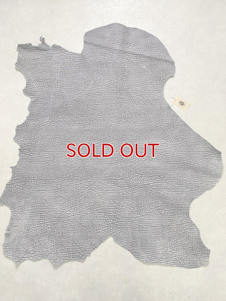 画像1: アンテロープ　 (1)