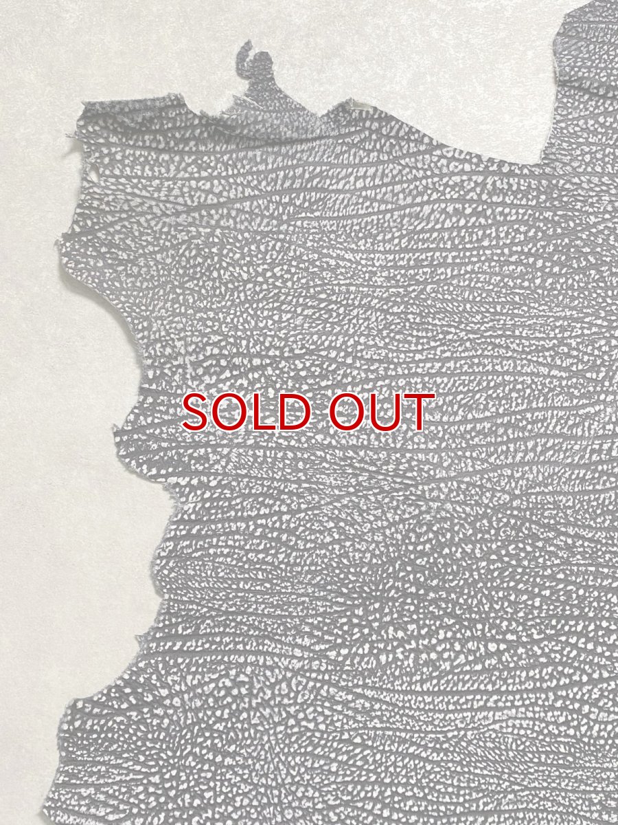 画像3: アンテロープ　 (3)