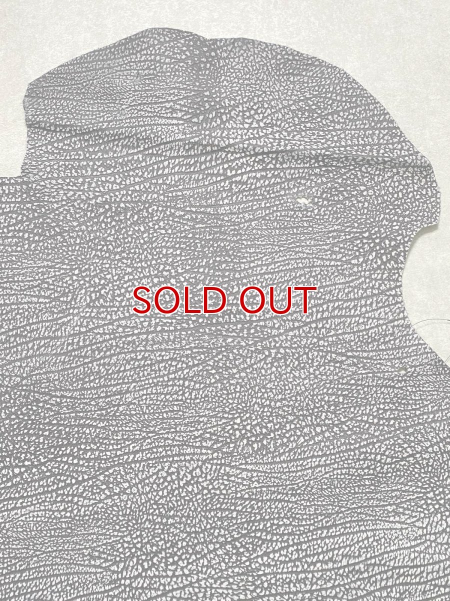 画像2: アンテロープ　 (2)