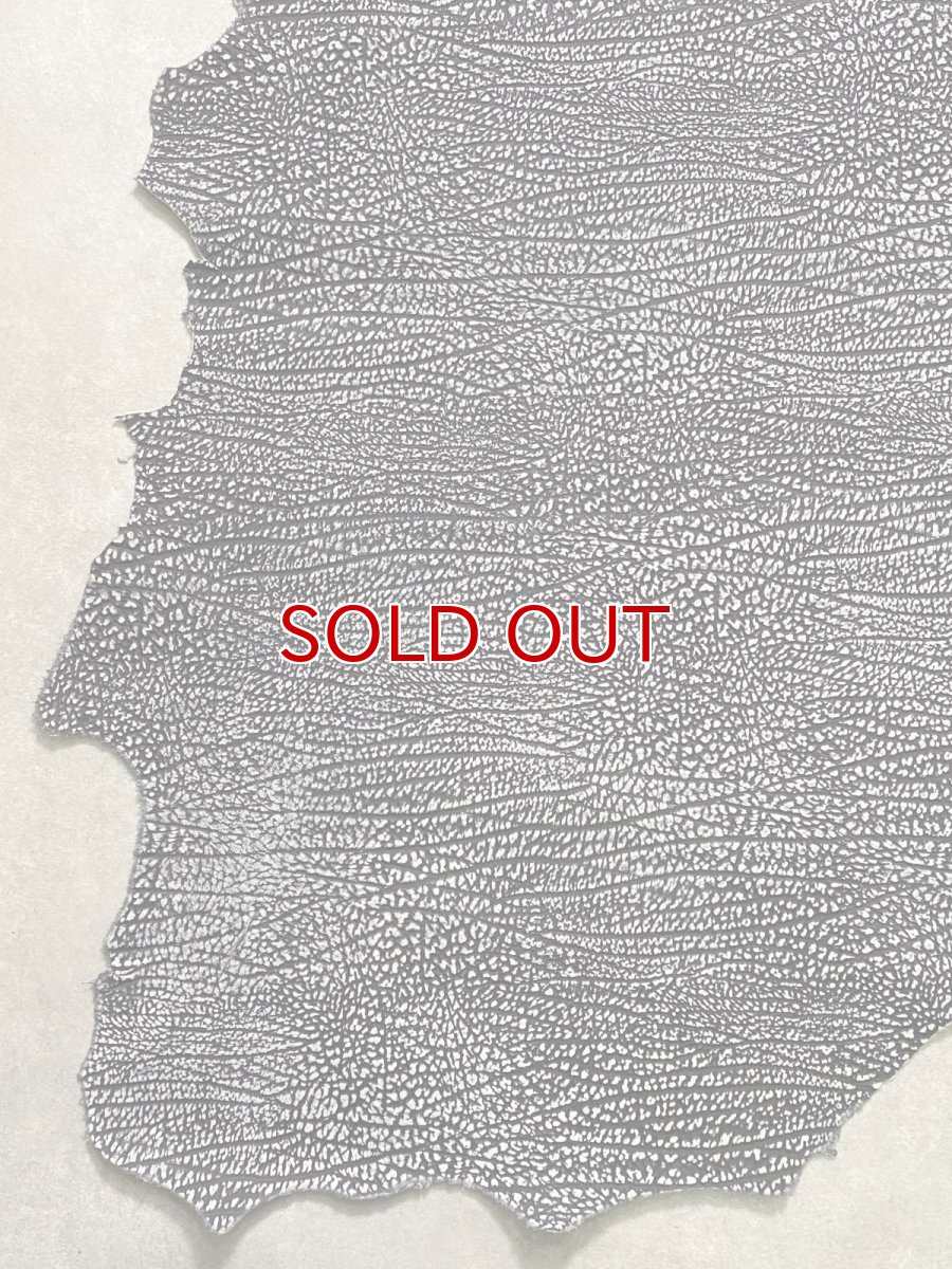 画像5: アンテロープ　 (5)