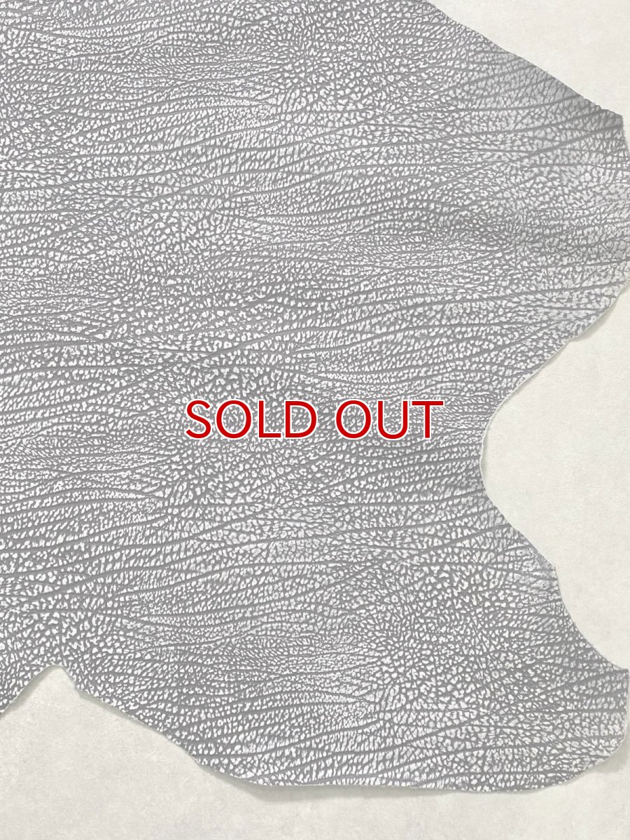 画像6: アンテロープ　 (6)